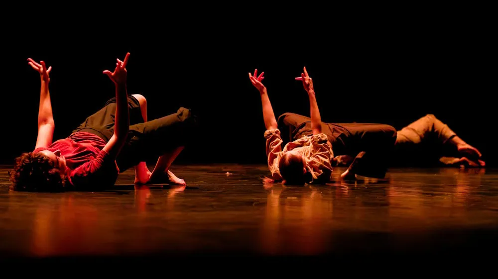 Cie Danse et Scène